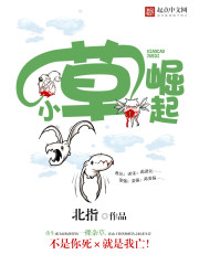 战婿归来电视剧免费观看