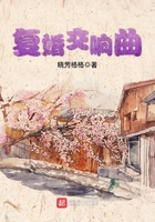 抗中奇侠