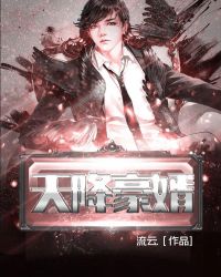 霸气书库林小喜