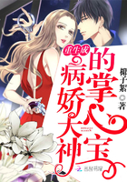 老师的秘密小说