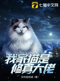 av导航网址