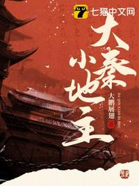 恰似故人归小说
