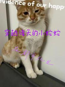 索命童话