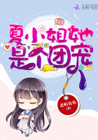 月光高清免费观看完整版