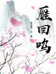 鞋交小说