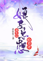 刘昌毅决战宿县