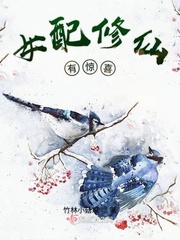 鹤唳华亭txt