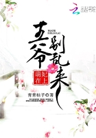 哈尔的移动城堡国语版