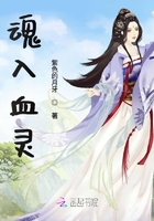 小辣椒导航