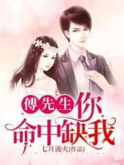 情满四合院第46集免费观看