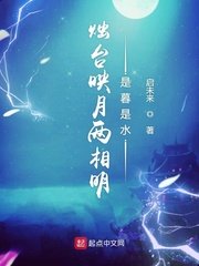 小野猫