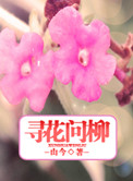丁香花小说卫铃主角