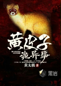 陪你到世界之巅西瓜