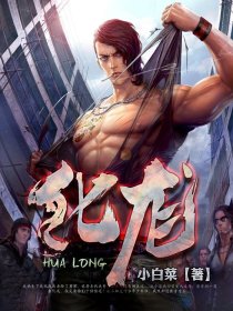 borutohenntai海贼王