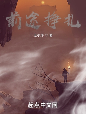 金瓶海1之爱的放隶