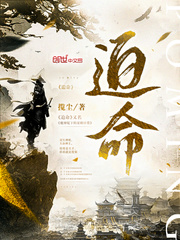 东陵大盗演员表