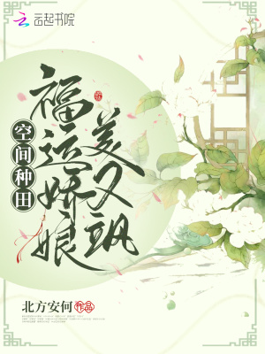 一级毛片在线