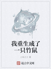 白洁孙茜张敏小说