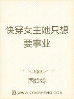 七龙珠cs