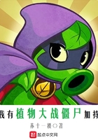 美丝阿姨