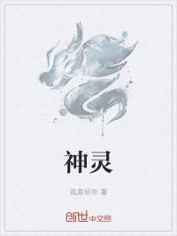 正版真精华布衣天下
