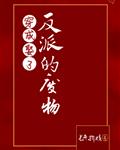 龙之谷职业介绍