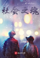 仙踪林八零婚纱