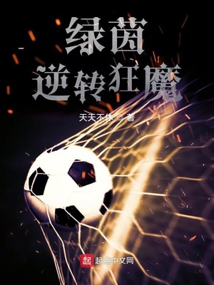 新金梅瓶2全集观看