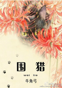 下一篇22p