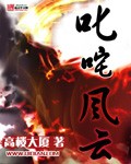 gogo全站高清专业摄像
