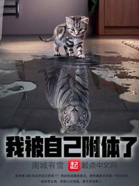 陈说美食个人视频