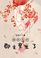 少女警花别动队