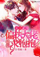 租个女友回家过年电视剧免费观看