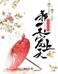 seegasm小猫系列百度云