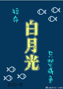 月夜直播下载