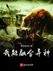 高 N 车多肉多