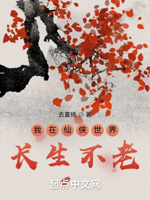 4849小游戏