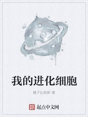 fateextra在线观看风车