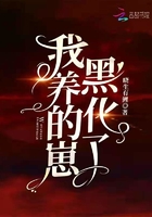 青翼传