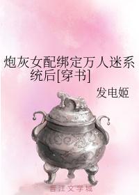 0808贵妃网理论片