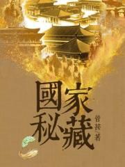 襄阳秘史