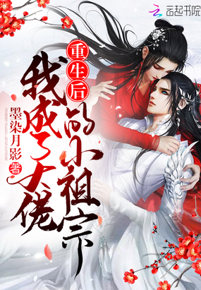 宝莲灯小说