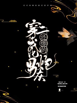 黑狐之风影