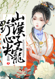 onepiecexxx娜美无尽