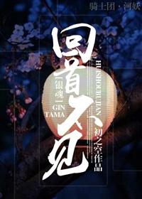海贼王同人动漫在线