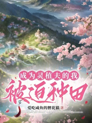 宰相刘罗锅40免费观看