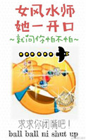 黄蓉春系列小说