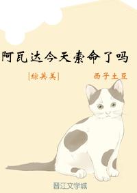 tokyonoir在线观看