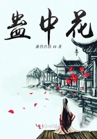 厨房挺进艳妇