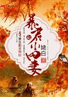 欢乐颂小说txt